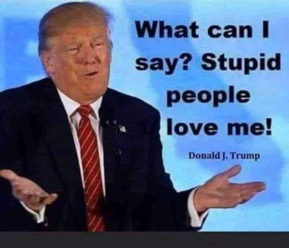 #1 a meme of Trump saying stupid people (i.e. racists) like him