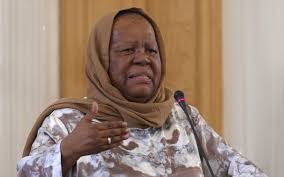 Naledi Pandor with head covering